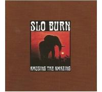 Amusing The Amazing by Slo Burn [Music CD]