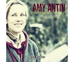 Amy Antin Already Spring (Vinyl LP) 12" Album