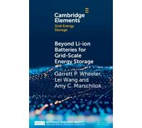 Amy C. Marschilok Garrett P. Beyond Li-ion Batteries for Grid-Scal (Tascabile)