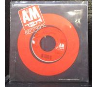 Amy Grant 45 RPM Every Heartbeat / Every Heartbeat