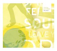 Amy Stroup - Chasing Greenlights