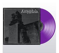 Amygdala Our Voices Will Soar Forever (Vinyl LP) 12" Album