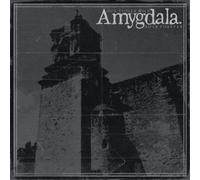 Amygdala Our Voices Will Soar Forever (Vinyl LP) 12" Album
