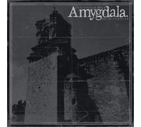 Amygdala Our Voices Will Soar Forever (Vinyl LP) 12" Album