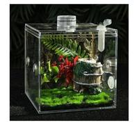 AMYSTY Terrario per Rettili Recinto for Ragni Saltatori Habitat for Ragni Saltatori Insetti Mantide Scatola per Insetti