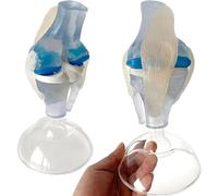 AMZBNEIDI Modello anatomico del Torso Umano, Display educativo Trasparente for Scheletro del legamento del menisco, Modello Trasparente dell'articolazione del Ginocchio