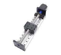 AMZBNEIDI Modulo Slitta lineare, Modulo Tavolo Scorrevole lineare Vite a Sfere Singola Doppia Linea Guida Motore Passo-Passo Sollevamento Trasversale Dimensioni Multiple(Effective Stroke 100mm)