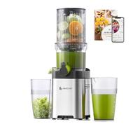 AMZCHEF 120MM Estrattore frutta e verdura - 2L estrattore a freddo Facile da Pulire - Senza Preparazione Estrattore di Frutta e Verdura Intera - Argento[Classe di efficienza energetica A+++]