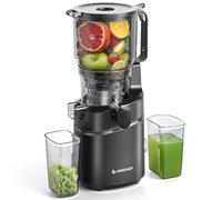 AMZCHEF Estrattore Automatico, Apertura 150MM e Capacità 2L Estrattore Frutta e Verdura Intera, 250W Estrattori di Succhi Professionale con Triplo Filtro - Nero