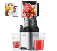 AMZCHEF Estrattore di succo Slow Juicer con foro di riempimento da 135 mm per frutta e verdura intera, facile da pulire con 2 bicchieri, argento