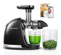 AMZCHEF Estrattore Frutta e Verdura - Estrattore Di Succo A Freddo - Masticazione Delicata Non C'è Bisogno Di Filtrare - Estrattore Di Succo Senza BPA con Due Tazze e Pennello - Nero