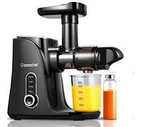 AMZCHEF Spremiagrumi frutta e verdura con 2 modalità di velocità - Slow Juicer con bottiglia portatile e 2 tazze - Senza BPA Cold Press Juicer con LED intelligente e funzione di inversione - Nero