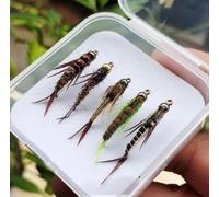 AMZfishing® Ninfe a mosca in pietra, 5 pezzi, per la pesca alla trota, mosca per la pesca alla trota, mosca per trota, pesca a mosca per ceneri (b: 5 pezzi misti in scatola)
