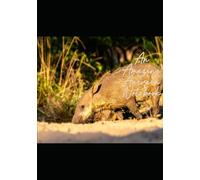 An Amazing Aardvark Notebook: For all the things to remember