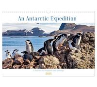 An Antarctic Expedition (Wall Calendar 2026 DIN A3 landscape), CALVENDO 12 Month Wall Calendar: Visiting the icebergs, penguins and amazing landscapes of Antarctica