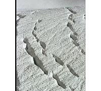 An Antarctic Mystery