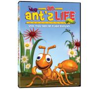 AN ANTS LIFE