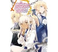 An Archdemon's Dilemma: How to Love Your Elf Bride: Volume 20 (Light Novel)