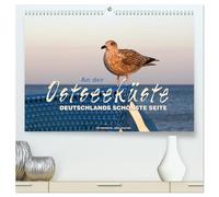An der Ostseeküste - Deutschlands schönste Seite (hochwertiger Premium Wandkalender 2026 DIN A2 quer), Kunstdruck in Hochglanz: Zauberhafte Impressionen von der Ostseeküste