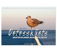 An der Ostseeküste - Deutschlands schönste Seite (Tischkalender 2026 DIN A5 quer), CALVENDO Monatskalender: Zauberhafte Impressionen von der Ostseeküste