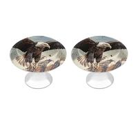 an Eagle Flies Over Cabinet Knob 2 Pack Round Drawer Pull Kitchen Cabinet Hardware Acciaio Inox Cassetto Pomello Semplice Tirare per Comò Armadio Pomelli Porta Armadio Armadio