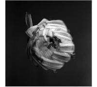 A Swarm of the Sun An Empire (Vinyl LP) 12" Album