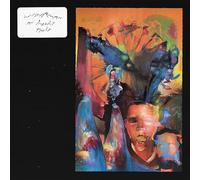 AN INBUILT FAULT（期間限定価格盤）