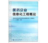 An Introduction to Chemical Enterprise Informationalization (Chinese Edition)