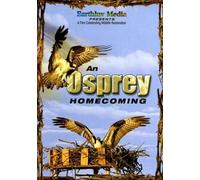 An Osprey Homecoming (DVD) Christi Vedejs Jacques Mersereau