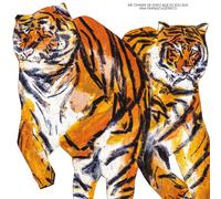 Ana Frango Eletrico Me Chama De Gato Que Eu Sou Sua (CD) Album