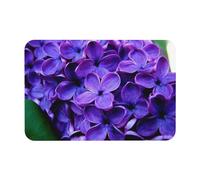 ANABPRMA Violet Flower - Tappetino da bagno in silicone con diatomea e fango, antiscivolo, 40 x 60 cm, facile da pulire