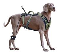 ANAFNI Easy Walk, Pettorina tattica per cani di taglia grande, resistente, con manico, facile da controllare e addestrare meglio le buone maniere (verde muschio, L)