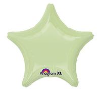 Anagram Palloncino in lamina verde Star-Leaf, 19"