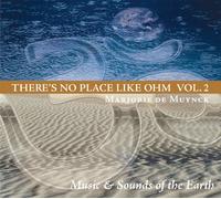 Analemma - Vol. 2-There's No Place Like Ohm