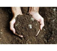 Analisi chimica del terreno per uso agronomico, 9 parametri