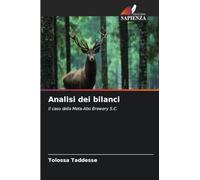 Analisi dei bilanci: Il caso della Meta-Abo Brewery S.C.