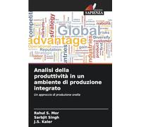 Analisi della produttività in un ambiente di produzione integrato: Un approccio di produzione snella