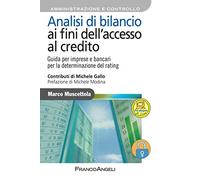 Analisi di bilancio ai fini dell'accesso al credito. Guida per imprese e bancari per la determinazione del rating