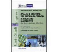 Analisi e gestione del rischio di credito. Il progetto Mayflower. Una ricerca applicata al territorio