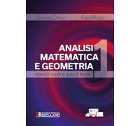 Analisi Matematica e Geometria 1 - Esercizi Svolti e Quesiti Teorici