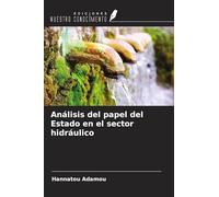 Análisis del papel del Estado en el sector hidráulico