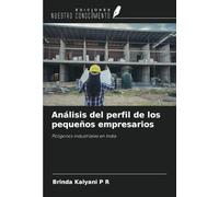 Análisis del perfil de los pequeños empresarios: Polígonos industriales en India