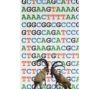 Análisis psicosocial de la violencia en Colombia desde una perspectiva nomotética