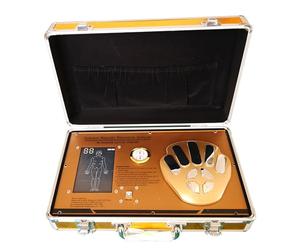 Analizzatore magnetico a risonanza quantistica per esame completo accurato e rapido del corpo - Rilevatore del corpo sub-salute, rilevazione di meridiani delle cellule umane - Uso domestico di viaggio