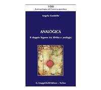Analogica. Il doppio legame tra diritto e analogia