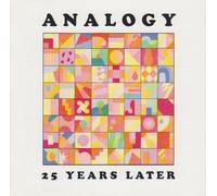 ANALOGY - 25 Years Later