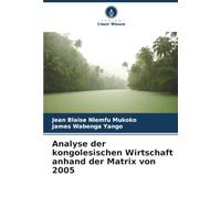 Analyse der kongolesischen Wirtschaft anhand der Matrix von 2005