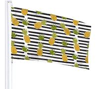 Ananas On The Sketch Bandiera a Strisce 3x5 Ft Bandiere da Esterno Bifacciali 100% Poliestere Resistente con Foro Preimpostato per Decorazioni Natalizie Giardino Ufficio Casa