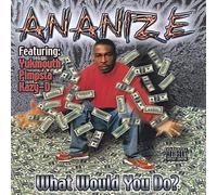 Ananize - What Would You Do?