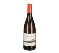 Anarchia Costituzionale Vigneti Massa 2024